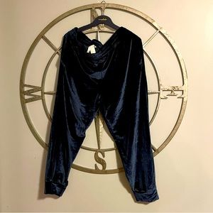 Fabletics blue velour track pants